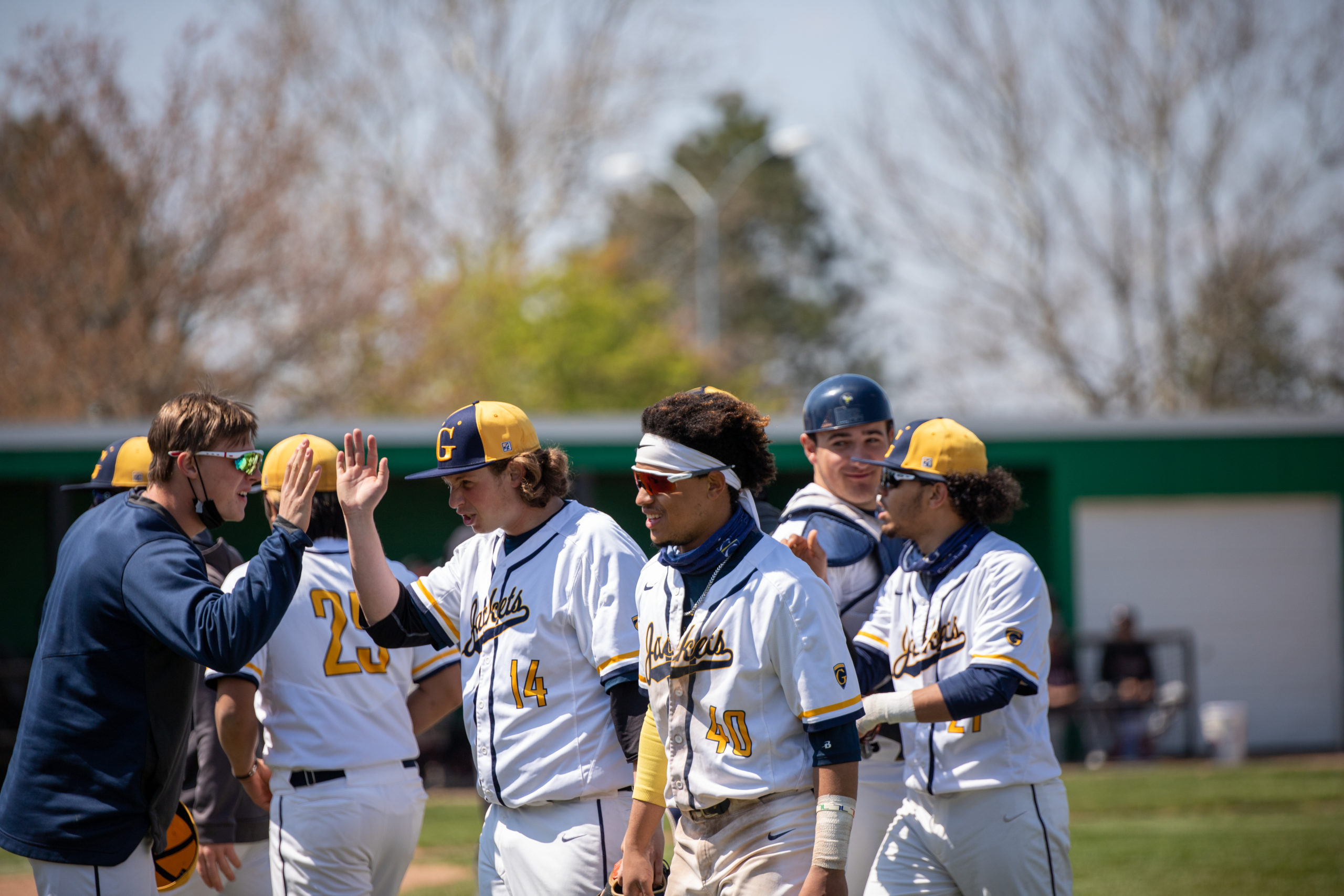 Graceland baseball roster 2025 2017