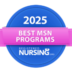 2025 Best MSN Programs